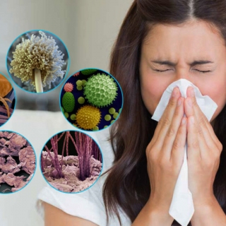 Лечение аллергии. АСИТ терапия