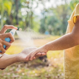 Опять эти клещи!