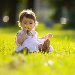 Что такое поллиноз?